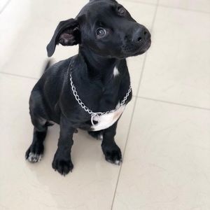 Meet your Posher, Camila